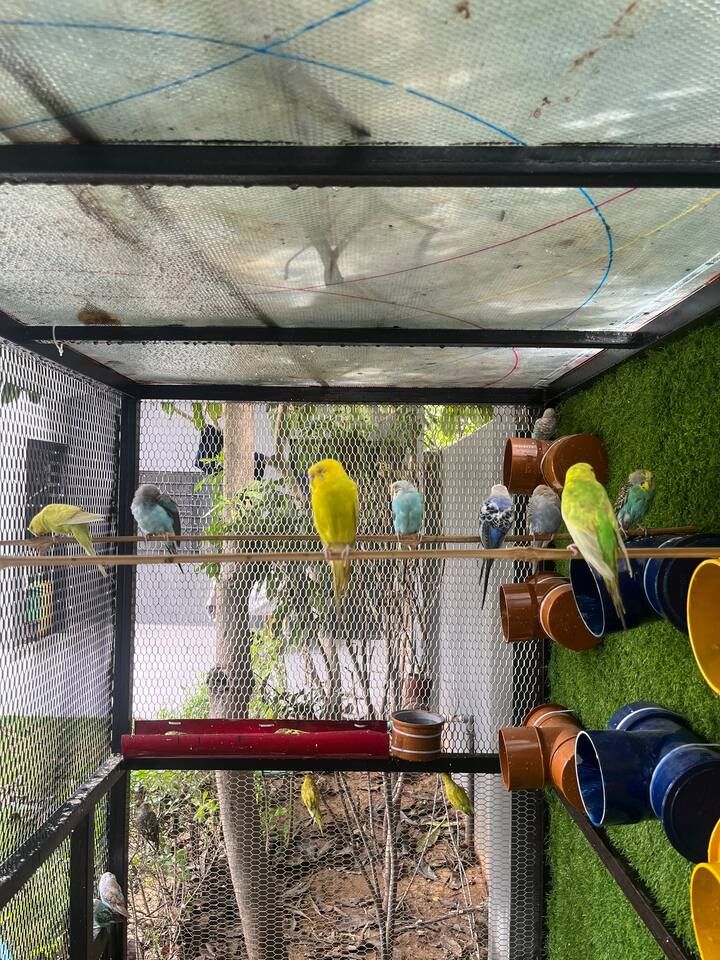 Private 2 BHK Villa with Pool & Jacuzzi | Garden Stay in Jaipur-Jagatpura-Jaipur